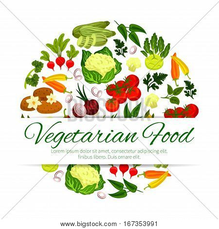 Healthy vegetable, vegetarian food banner. Zucchini or courgette, summer squash and radish, pepper and potato, onion and tomato, laurel and sorrel leaf spices, flower cabbage and kohlrabi.Vegan restaurant or shop, farm harvest theme