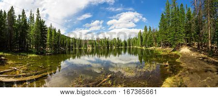 Evergreen woods around lake of Estes Park panorama