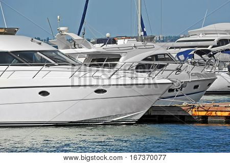 Motor Yacht In Jetty