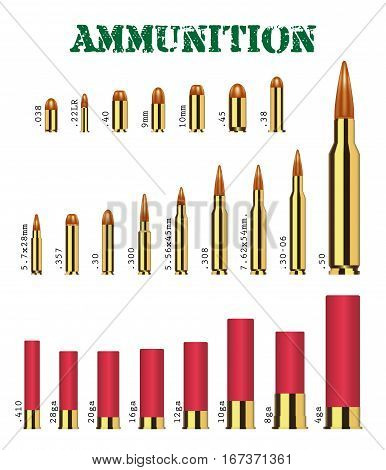 real set of many types of gun ammunition vector