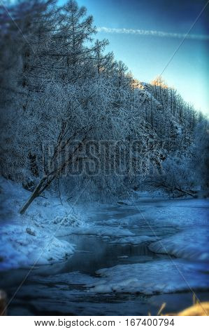 Frozen landscape, tree near Mongolias Khaans jim