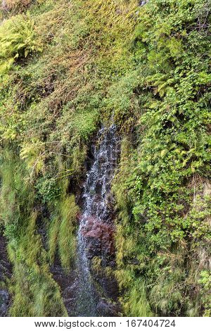 Risco Waterfall of the Twenty-five Fountains Levada hiking trail Madeira Portugal
