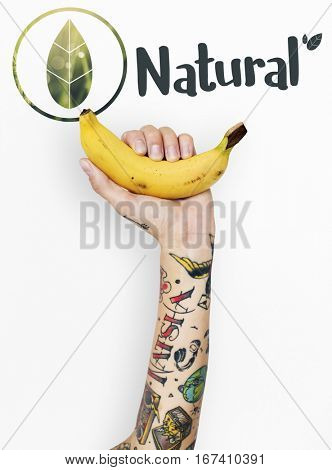 Ecology Environment Save Earth Organic