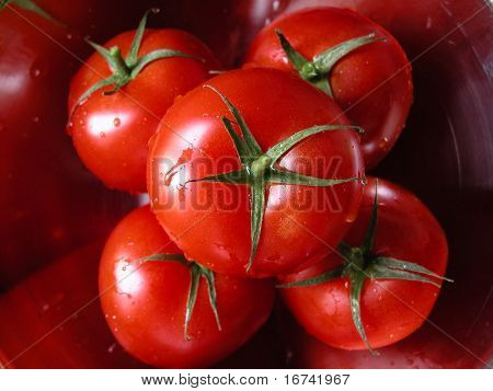 Tomaten in Schüssel