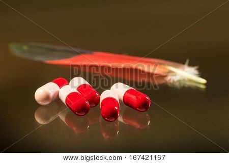 Bird flu feather and antibiotics capsule with reflection