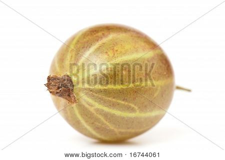 Agrest Grossularia, Eatberry,