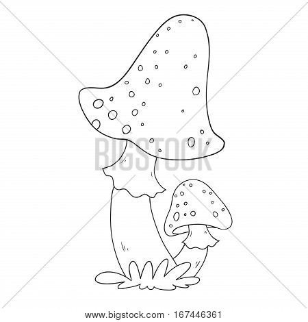 Forest mushrooms. Poisonous mushroom fly agaric. Amanita muscaria. Coloring book vector isolated on white background.