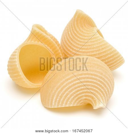 Italian lumaconi isolated on white background. Lumache, snailshell shaped pasta.