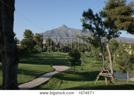 Aloha Golf Sahası Marbella İspanya 