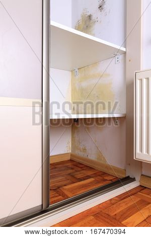 Persistent mold on wall in wardrobe and shelves. Hanging heater near the corner.