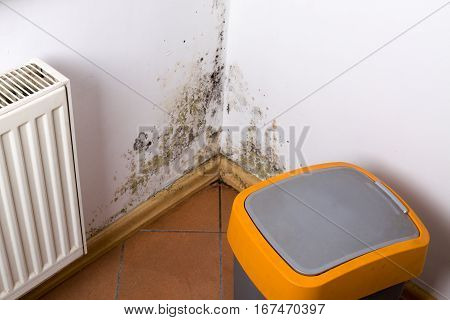 Mold and fungus problem near heater hanging on the corner.