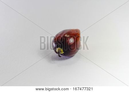 Oil palm fruits on white background.Commercial palm oil cultivation.