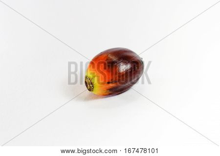Oil palm fruits on white background.Commercial palm oil cultivation.