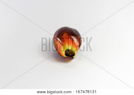 Oil palm fruits on white background.Commercial palm oil cultivation.