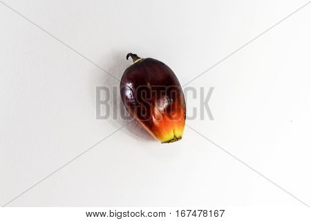 Oil palm fruits on white background.Commercial palm oil cultivation.