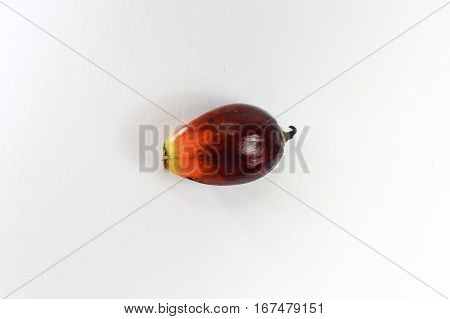Oil palm fruits on white background.Commercial palm oil cultivation.