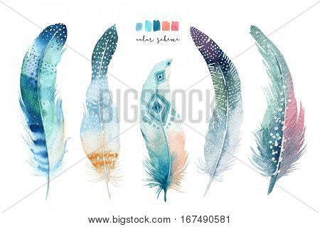 Hand drawn watercolor paintings vibrant feather set. Boho style wings. illustration isolated on white. Bird fly design for T-shirt, invitation, wedding card.Rustic Bright colors.