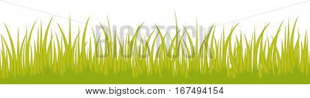 Grass line seamless isolated on white background use for web site design, decoration and other. Vector Illustration