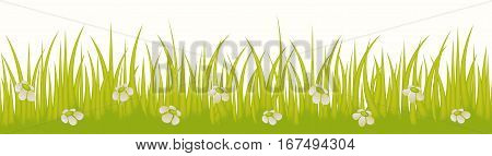 Grass line seamless with flowers isolated on white background use for web site design, decoration and other. Vector Illustration