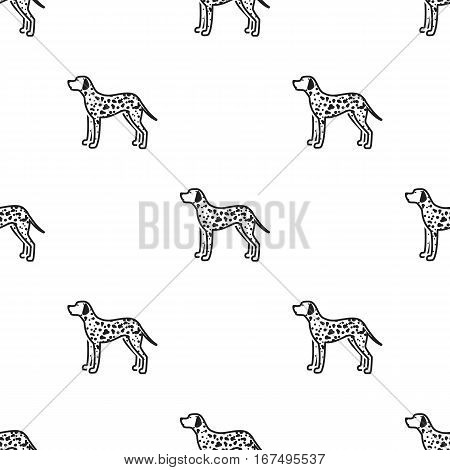 Dalmatian vector illustration icon in black design