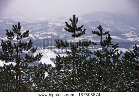 Viewpoint at winter landscape from mountain Kozomor, Serbia
