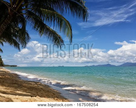 The sandy shores of the azure sea. Waves and palm trees. Koh Samui Thailand