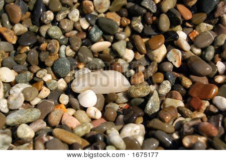 Sea Shore Steine
