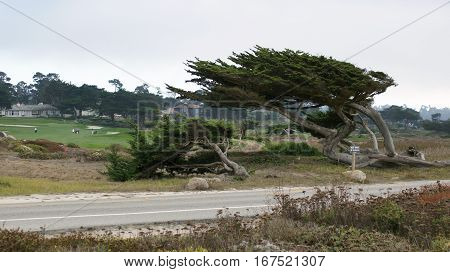 CARMEL, CALIFORNIA, UNITED STATES - OCT 6, 2014: beautiful houses at the Pebble Beach Golf Course, which is part of the famous 17 miles drive area.