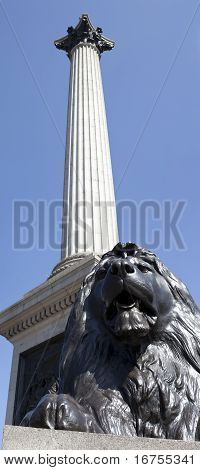 Колонна Нельсона