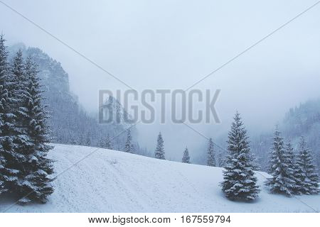 Tatra Mountains During Cold Winter Storm, Poland