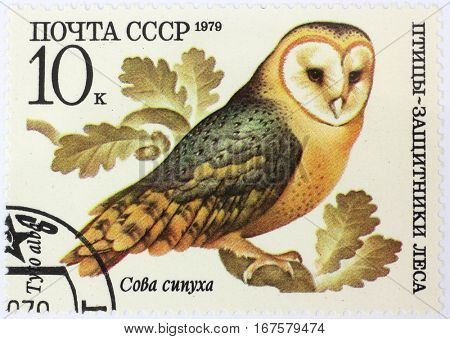 RUSSIA - CIRCA 1979: A stamp printed by Russia, shows Tyto alba, circa 1979