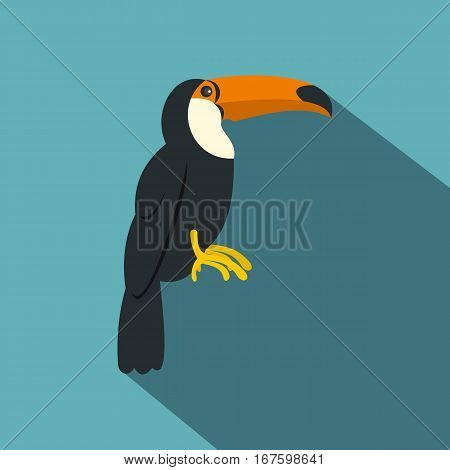 Toucan, ramphastos vitellinus icon. Flat illustration of toucan, ramphastos vitellinus vector icon for web on baby blue background