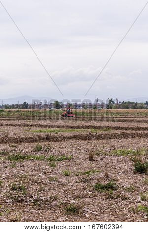 Tractor in field , agriculture in asia