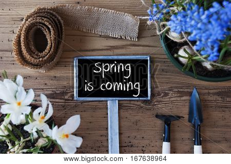 Sign With English Text Spring Is Coming. Spring Flowers Like Grape Hyacinth And Crocus. Gardening Tools Like Rake And Shovel. Hemp Fabric Ribbon. Aged Wooden Background