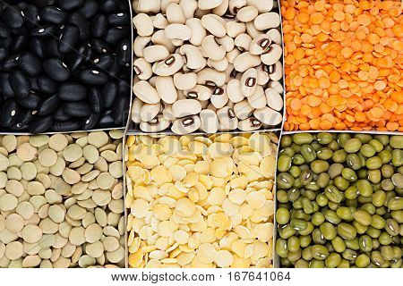 Legume background assortment - kidney beans peas lentils in square cells closeup top view. Healthy protein food.