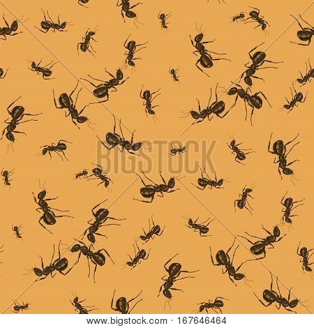 Ant Seamless Pattern on Orange Background. Insect Texture