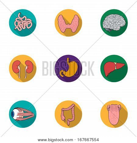 Human organs set icons in flat design. Big collection of human organs vector symbol stock illustration