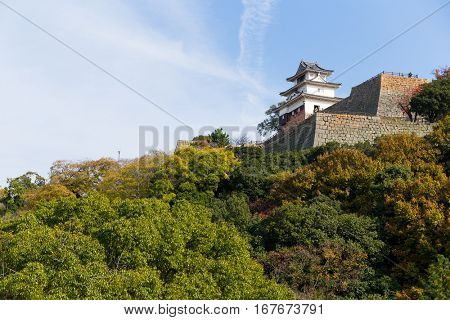 Japanese Marugame Castle
