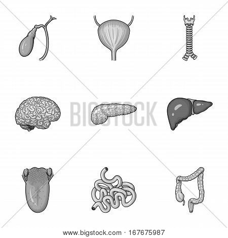 Human organs set icons in monochrome design. Big collection of human organs vector symbol stock illustration