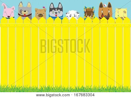 Cartoon dogs on the yellow fence on blue sky background. Cute pets background