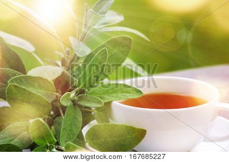Sage tea with green leaves served on the terrace