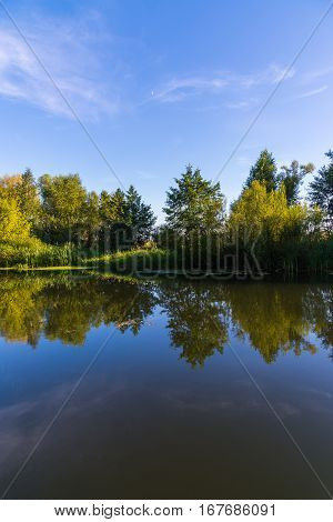 summer landscape with a river in central Russia
