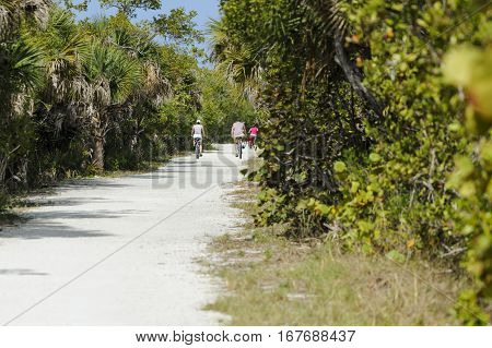 Sanibel Island Florida USA - February 25, 2011: Cyclists riding sandy trail through Ding Darling National Wildlife Refuge