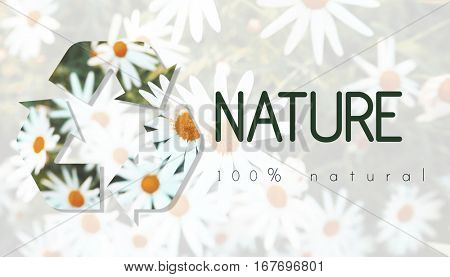Recycle Environmental Conservation Nature Ecology