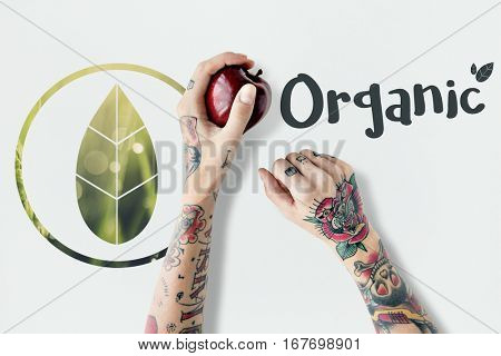 Ecology Environment Save Earth Organic