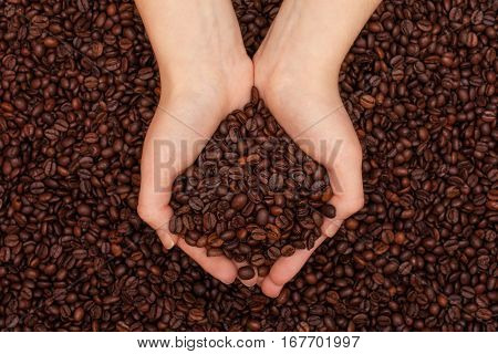 Roasted coffee beans in women's hands on coffee beans background