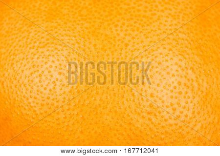 Close Up Of Grapefruit Or Orange Texture Peel Or Zest..
