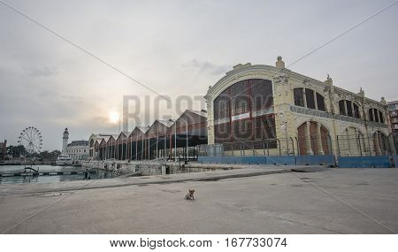 Old buildings of the port of valencia, buildings of the early 20th century. Shed used to protect merchandise