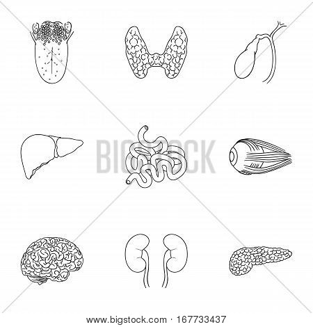 Human organs set icons in outline design. Big collection of human organs vector symbol stock illustration