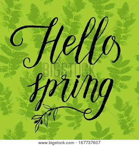 Hello Spring Greeting Card, Poster For Easter. Vector Background With Hand Lettering, Green Ash Leav